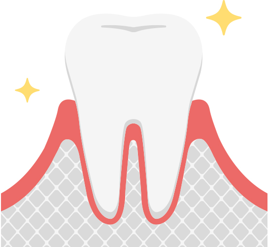健康な歯ぐき
